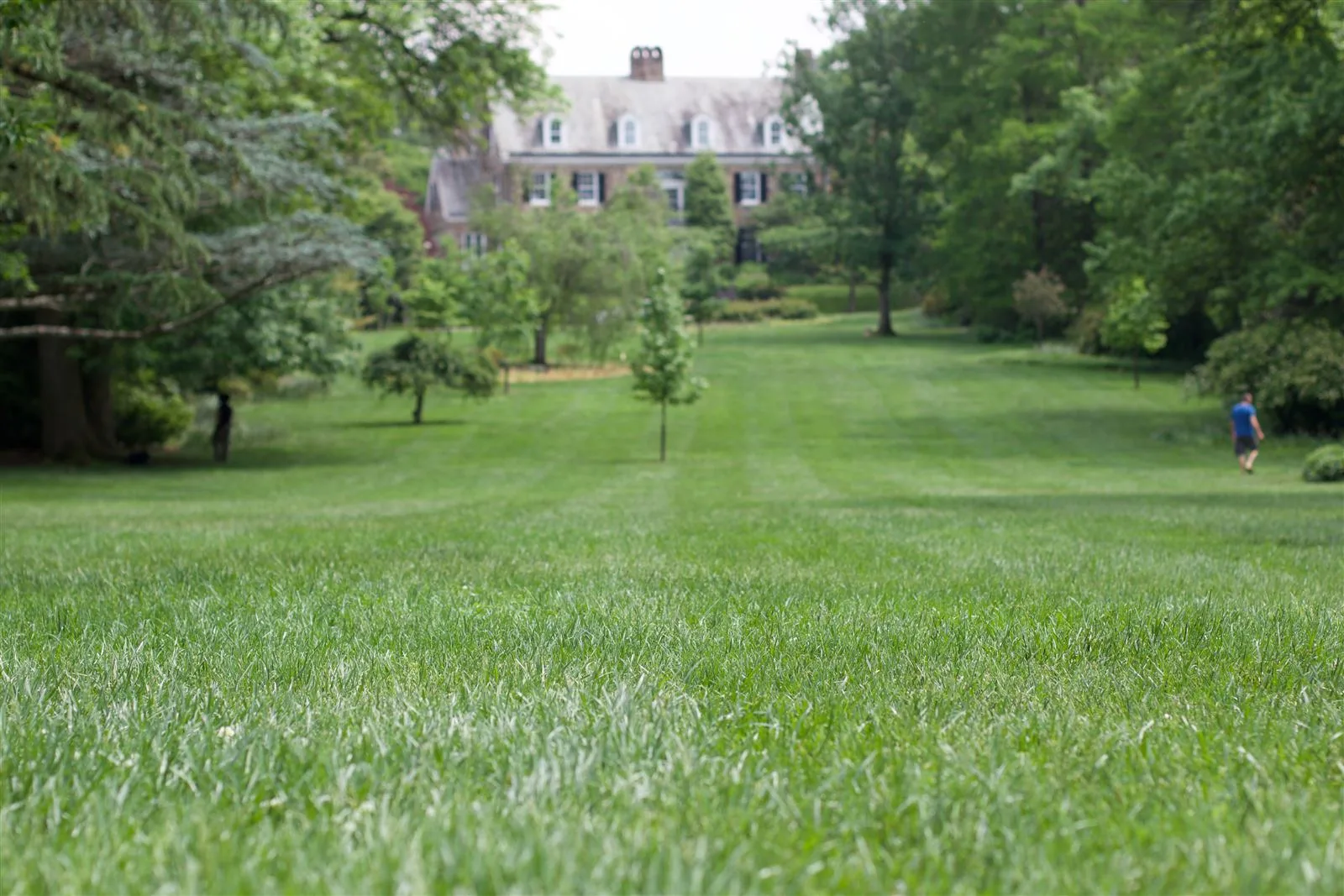 Landscape design and maintenance services by Actaeon in the DMV